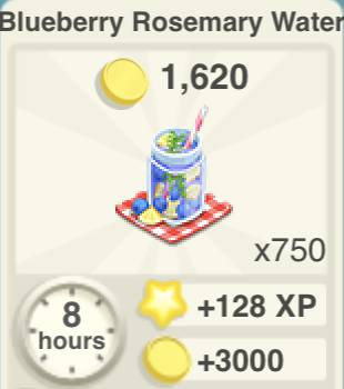 Blueberry Rosemaary Water Recipe