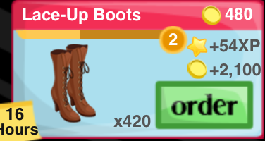 Lace Up Boots Item