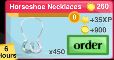 Horseshoe Necklace Item