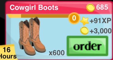 Cowgirl Boots Item