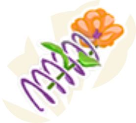 marigold spring Part