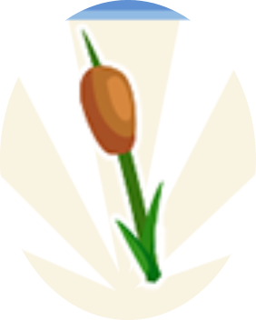 reed bouquet Part