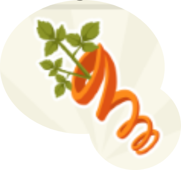  TL Part springy carrot